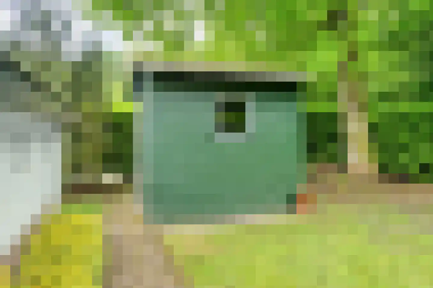 Hulsthof 60 Appelscha thumbnail 38