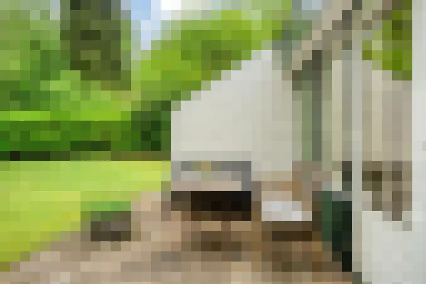 Hulsthof 60 Appelscha thumbnail 39