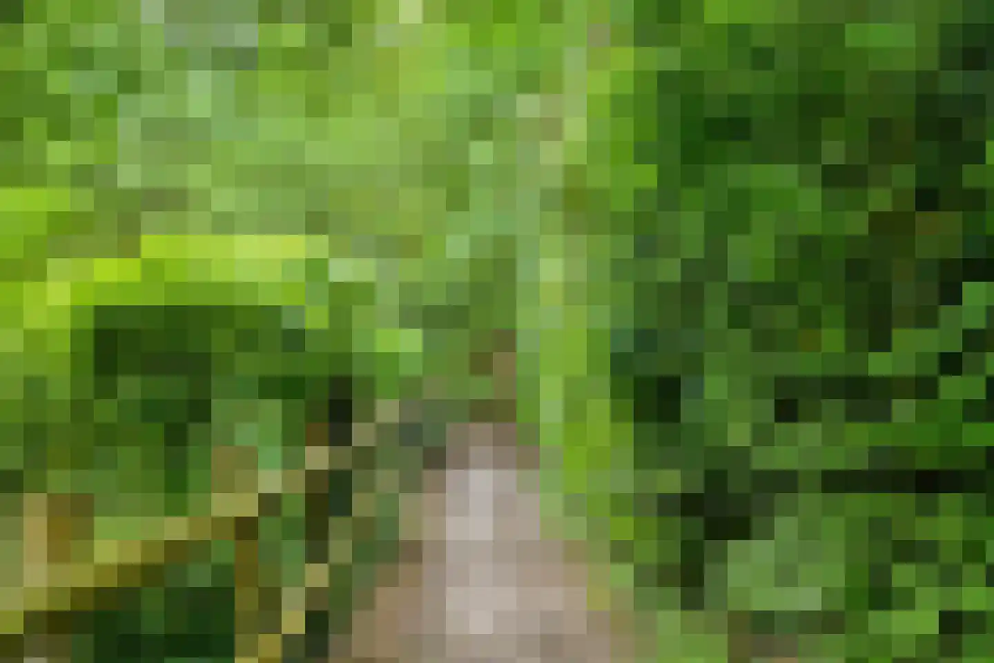 Hulsthof 60 Appelscha thumbnail 43