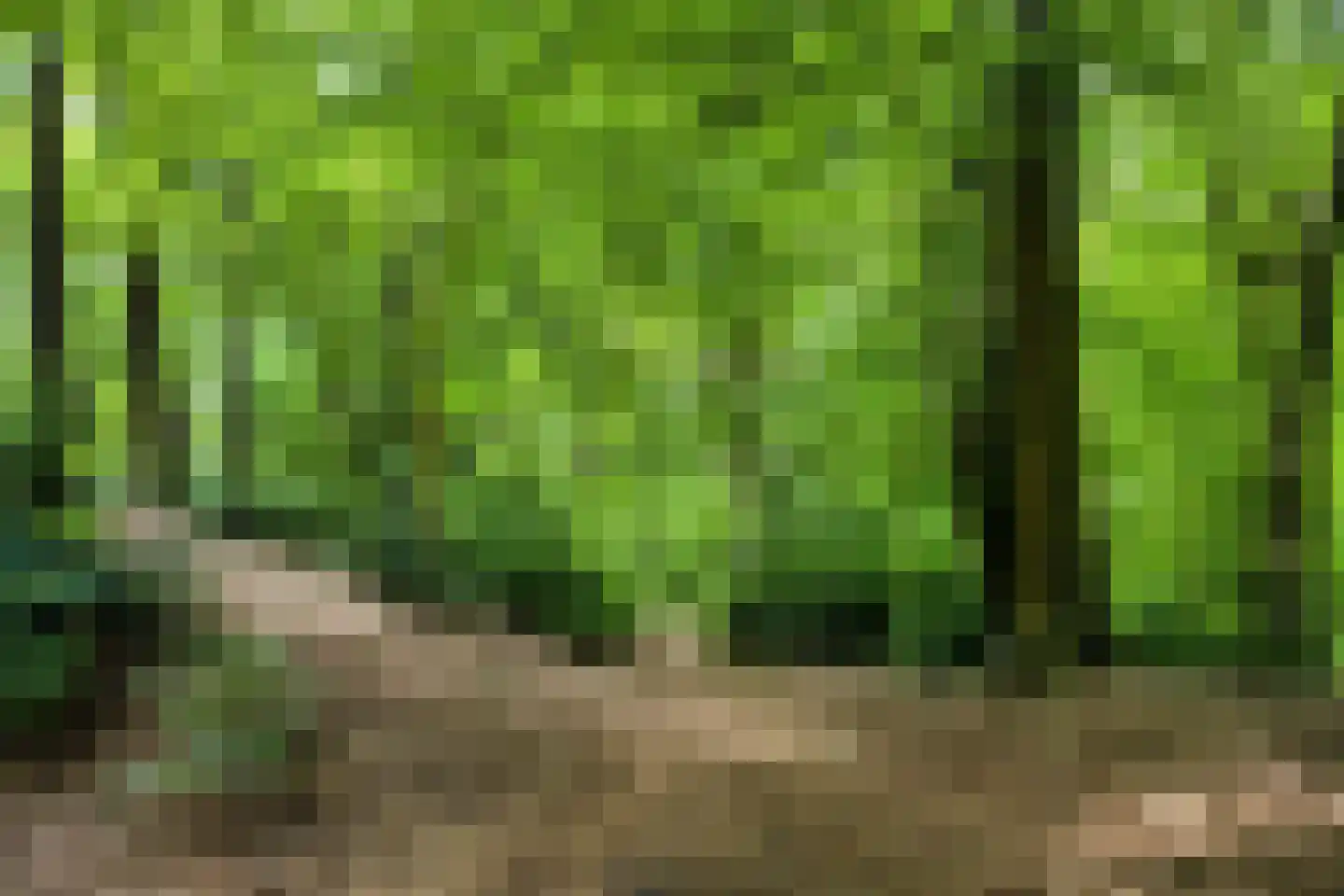 Hulsthof 60 Appelscha thumbnail 46