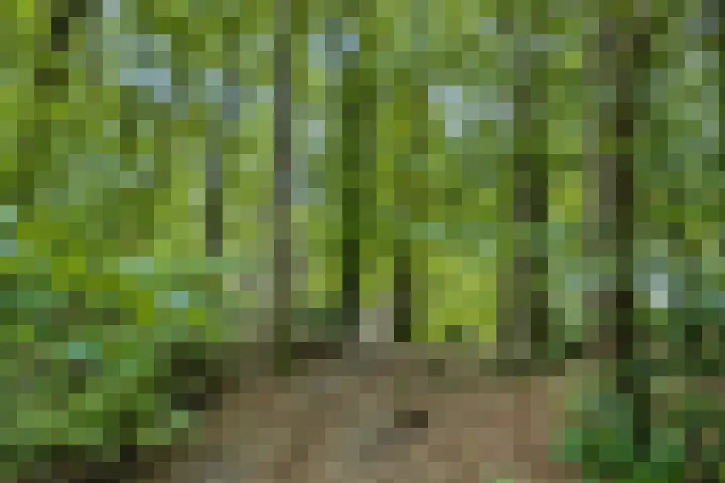 Hulsthof 60 Appelscha thumbnail 47