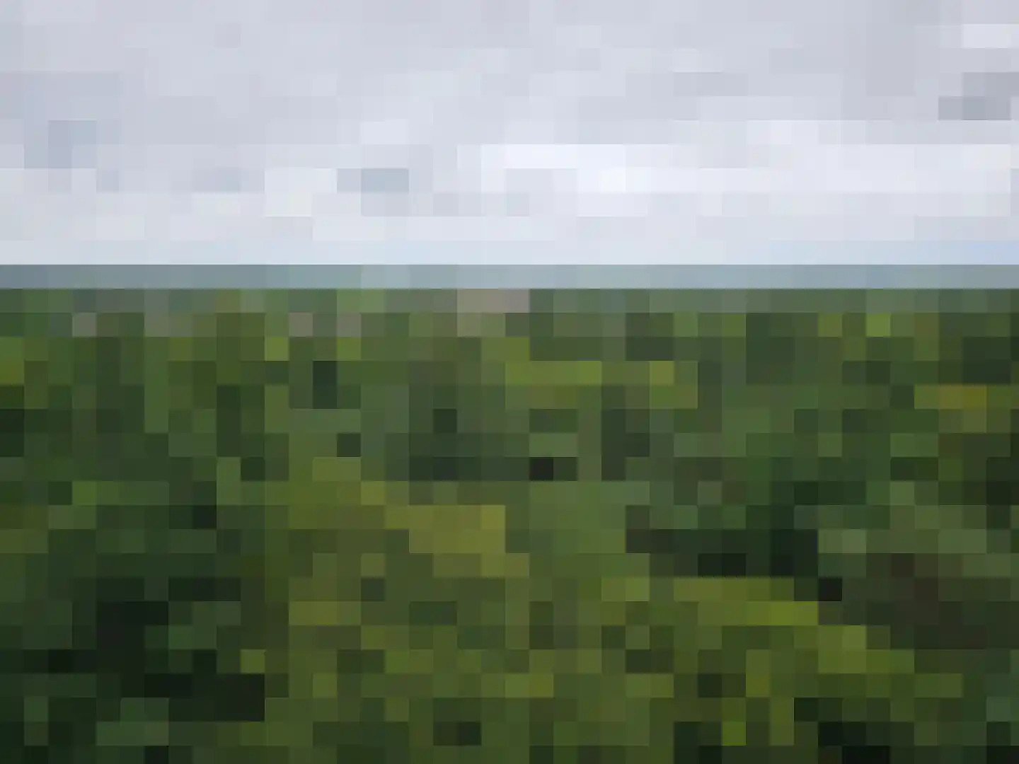 Hulsthof 60 Appelscha thumbnail 50