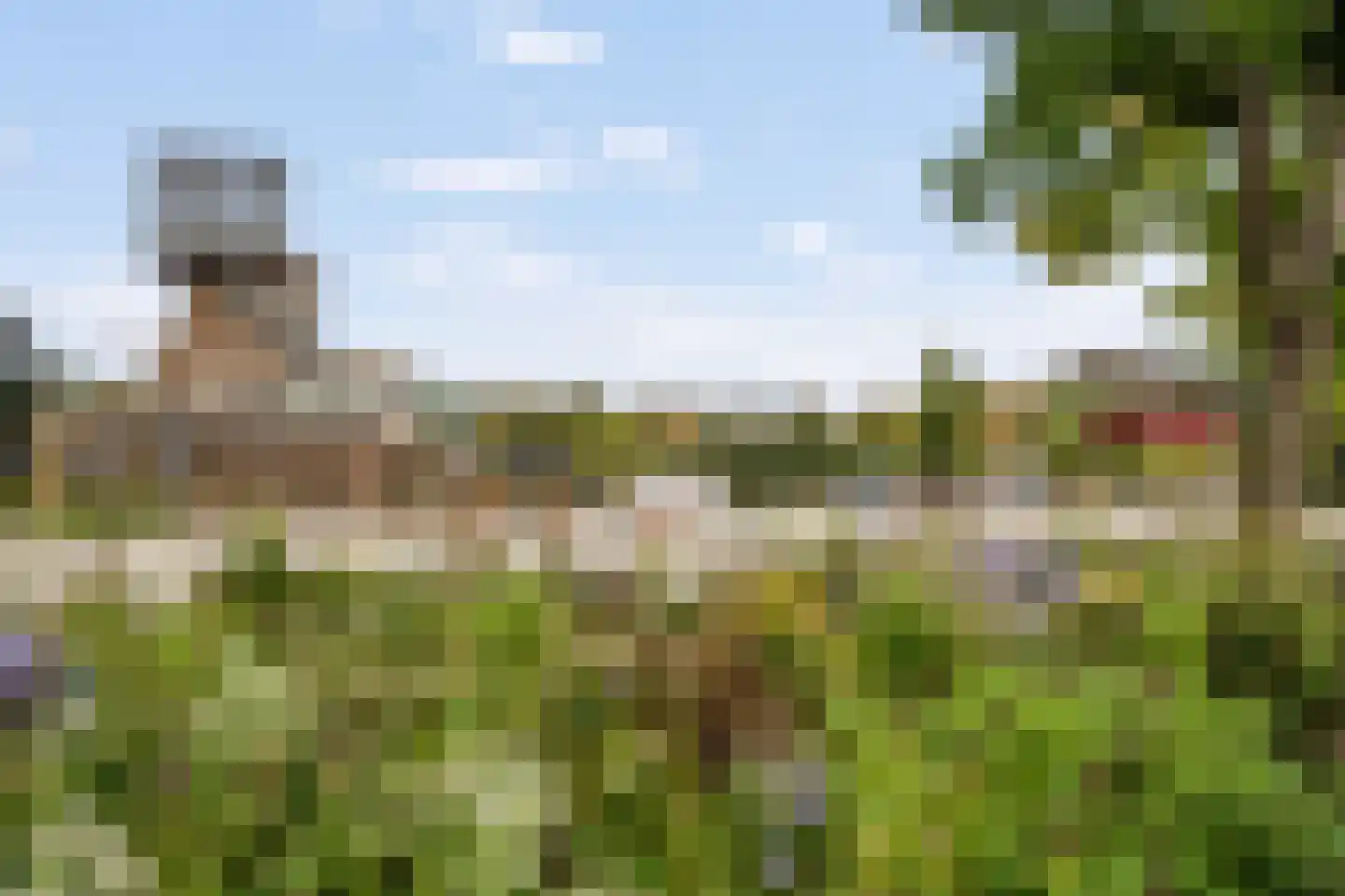 Hulsthof 60 Appelscha thumbnail 51