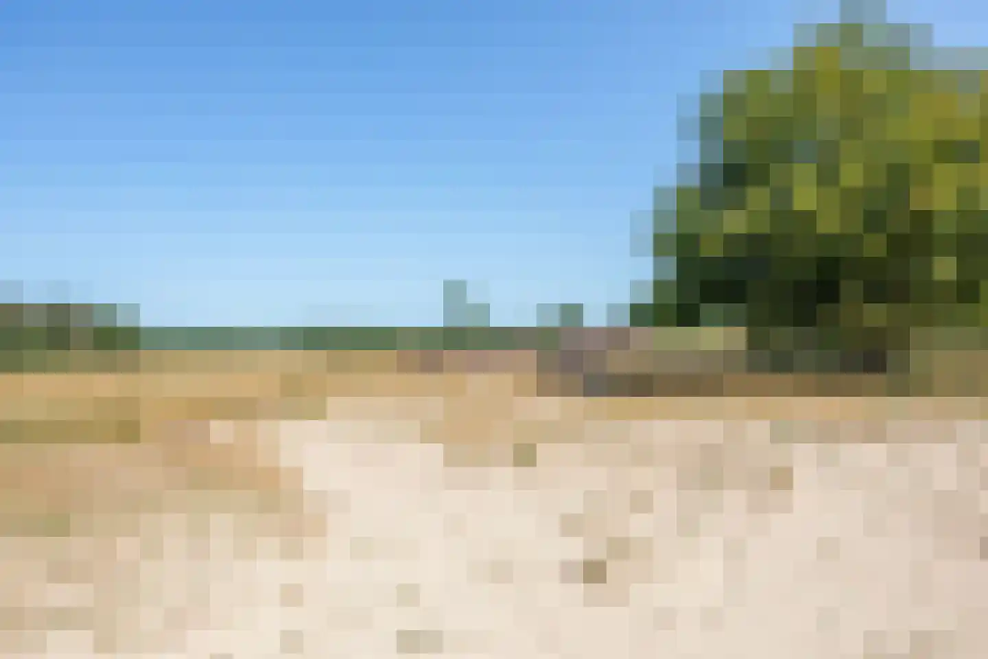 Hulsthof 60 Appelscha thumbnail 52
