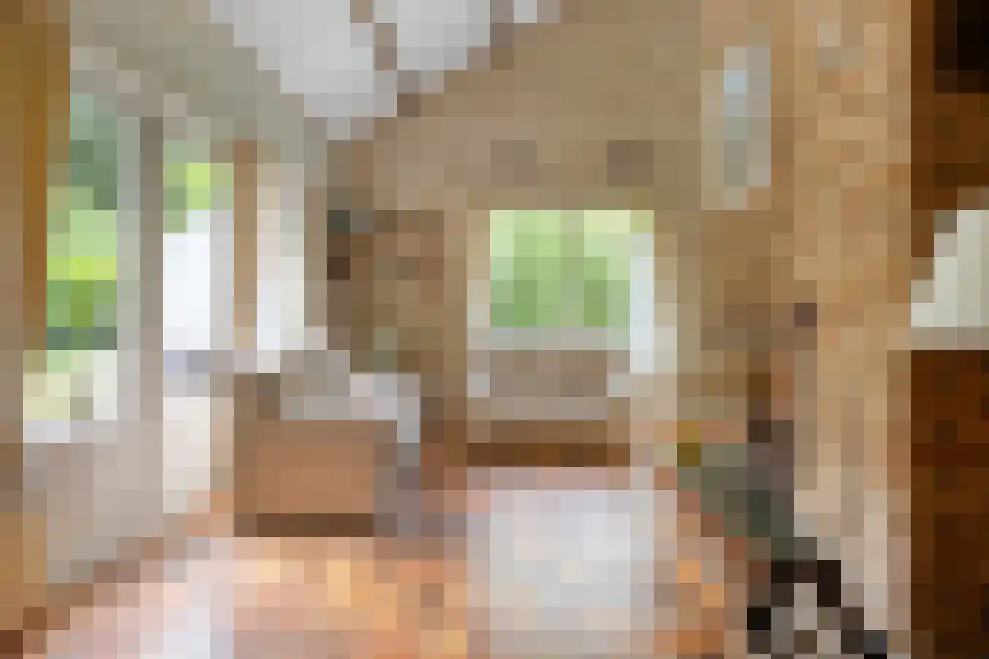 Hulsthof 60 Appelscha thumbnail 9
