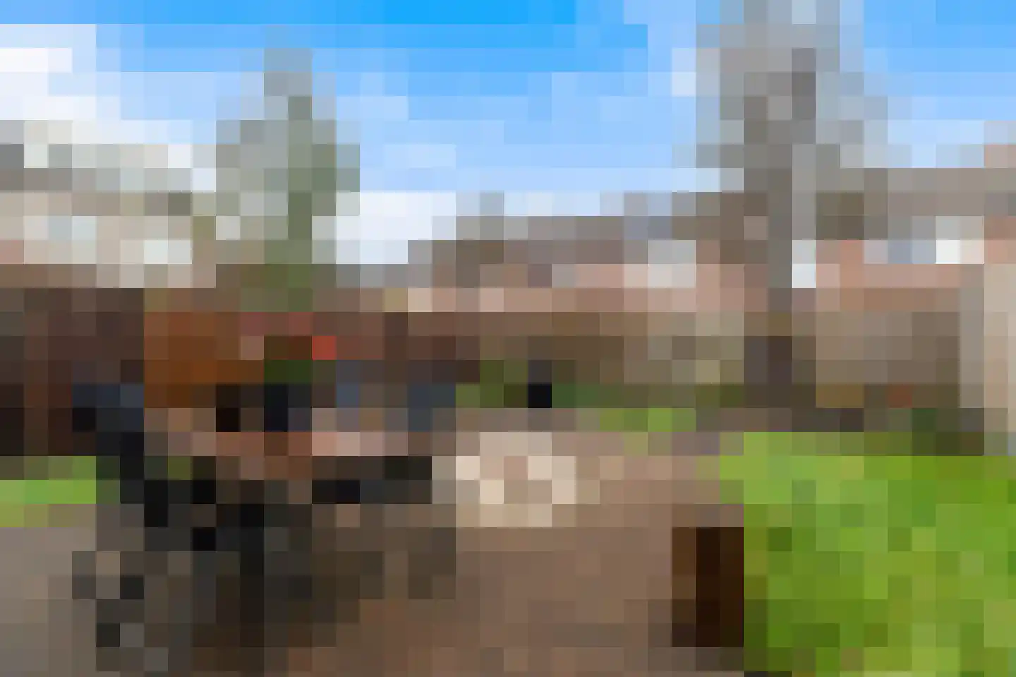 Hulsthof 7 Ouderkerk aan den IJssel thumbnail 13