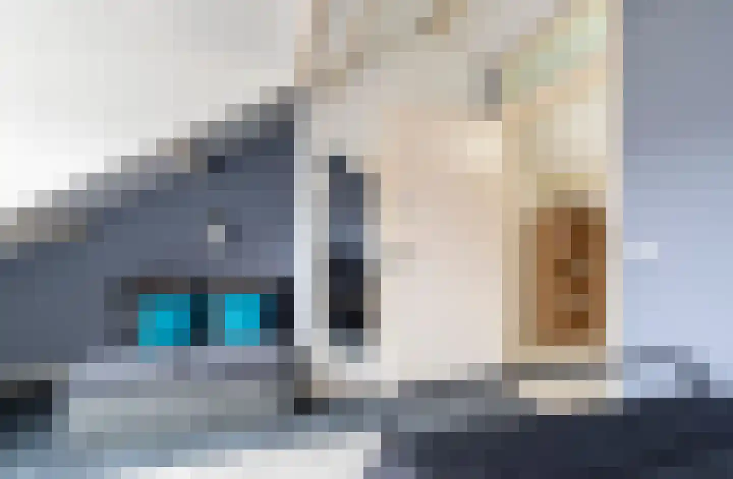 Hulsthof 7 Ouderkerk aan den IJssel thumbnail 28