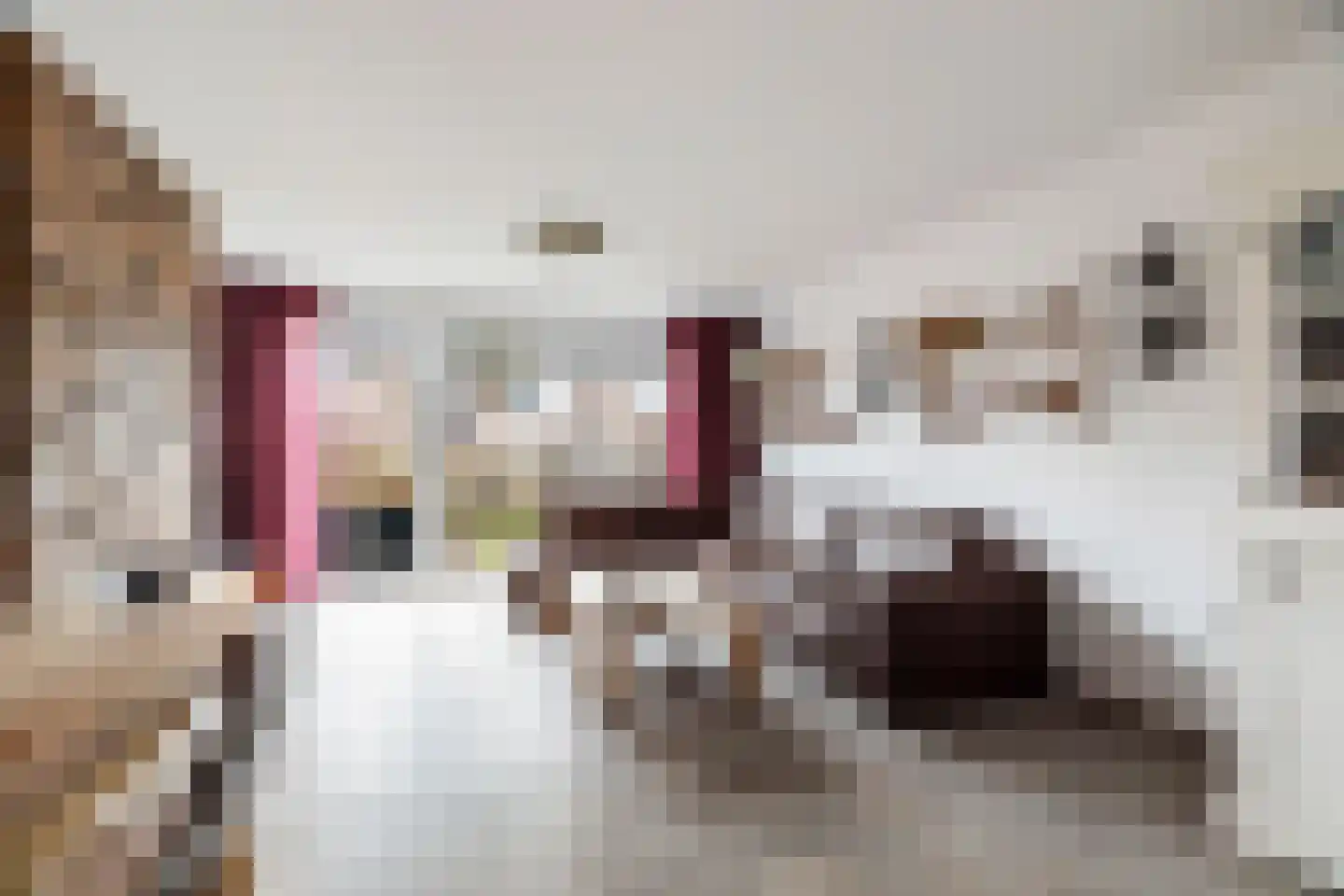 Hulsthof 7 Ouderkerk aan den IJssel thumbnail 5