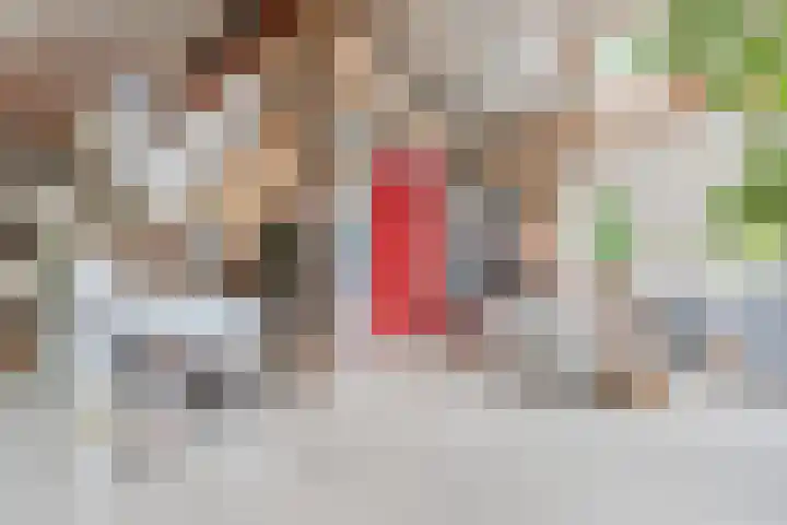 Hulstkampenweg 2 Nieuwleusen thumbnail 10
