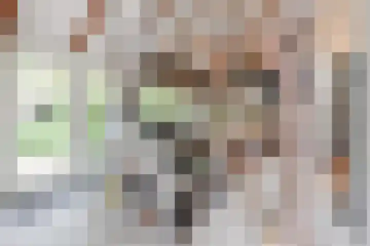 Hulstkampenweg 2 Nieuwleusen thumbnail 11