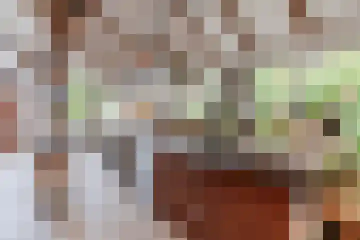 Hulstkampenweg 2 Nieuwleusen thumbnail 12