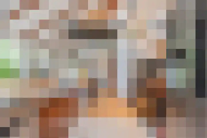 Hulstkampenweg 2 Nieuwleusen thumbnail 13