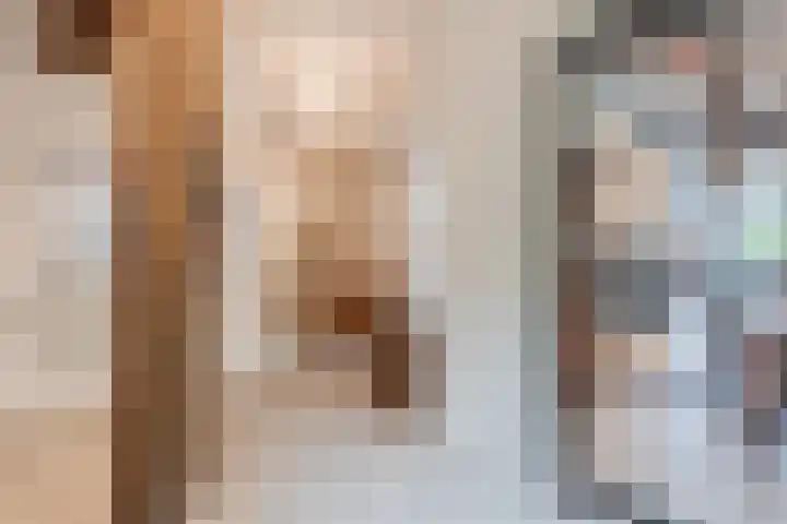 Hulstkampenweg 2 Nieuwleusen thumbnail 15