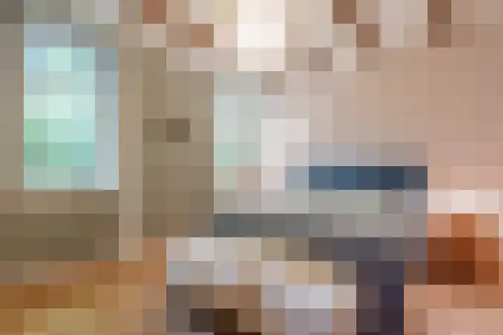 Hulstkampenweg 2 Nieuwleusen thumbnail 16