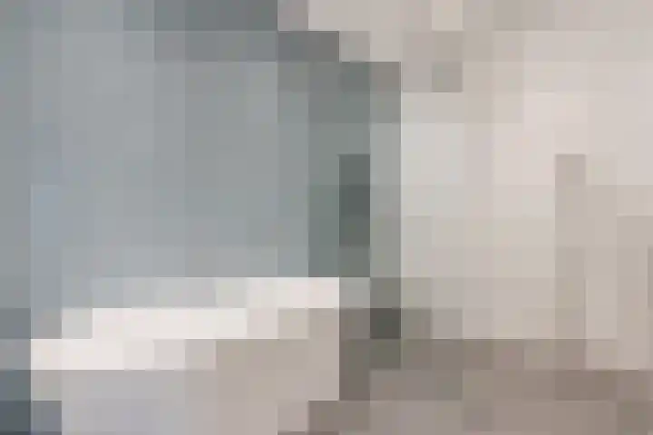 Hulstkampenweg 2 Nieuwleusen thumbnail 18
