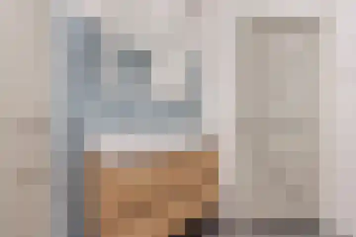 Hulstkampenweg 2 Nieuwleusen thumbnail 20
