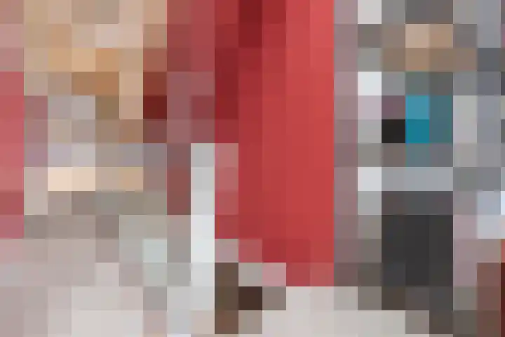 Hulstkampenweg 2 Nieuwleusen thumbnail 21