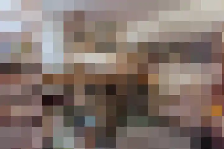 Hulstkampenweg 2 Nieuwleusen thumbnail 22