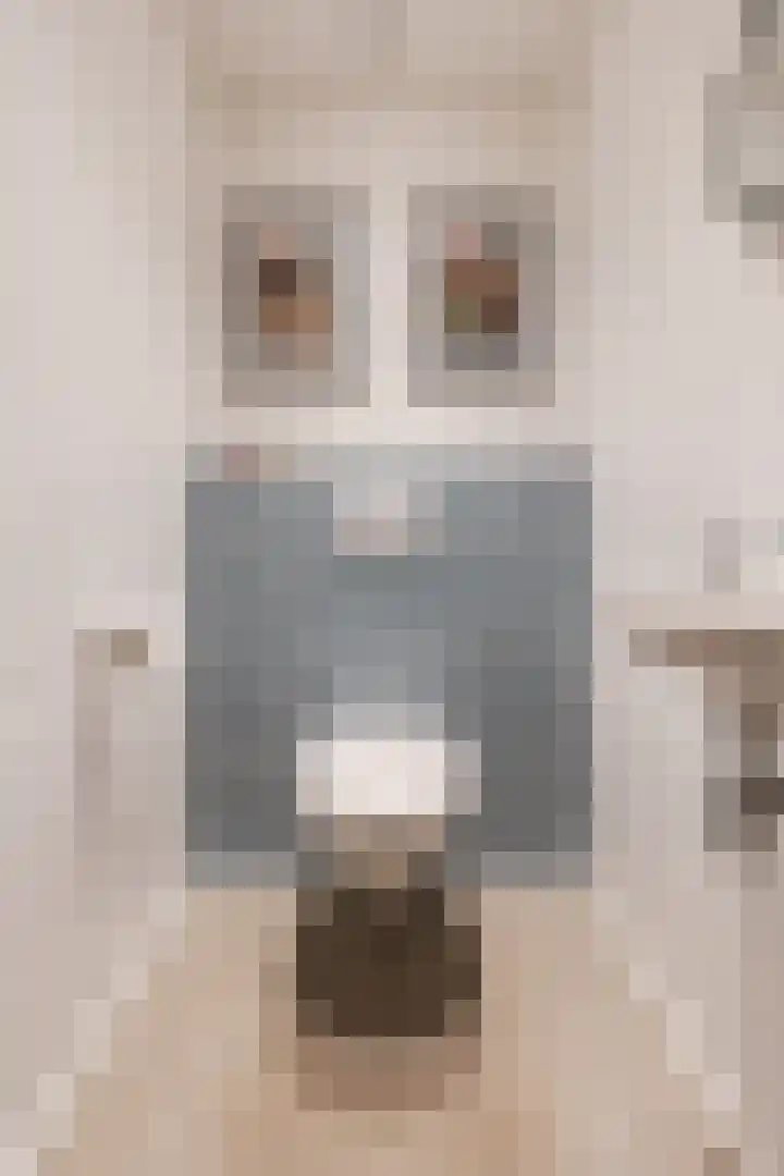 Hulstkampenweg 2 Nieuwleusen thumbnail 23