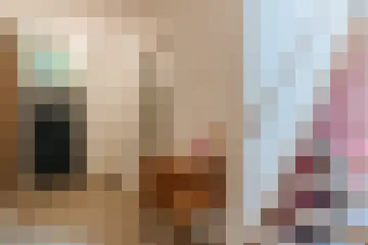 Hulstkampenweg 2 Nieuwleusen thumbnail 24