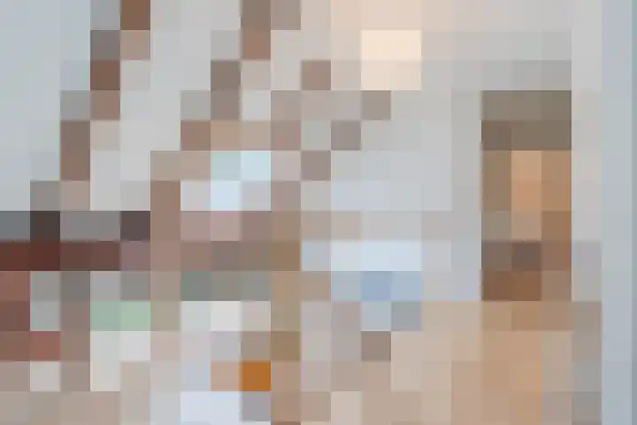 Hulstkampenweg 2 Nieuwleusen thumbnail 26