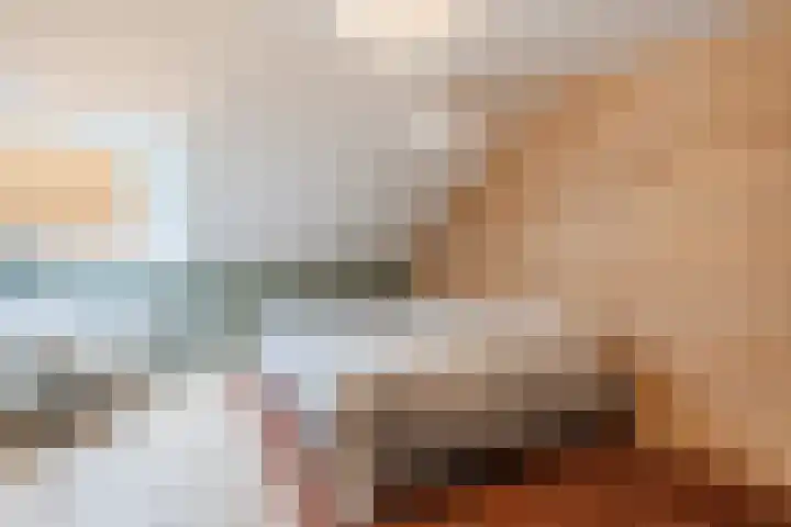 Hulstkampenweg 2 Nieuwleusen thumbnail 27