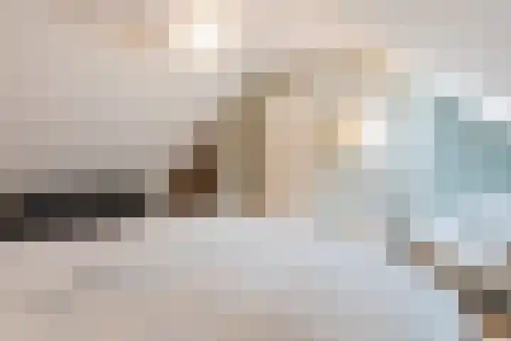 Hulstkampenweg 2 Nieuwleusen thumbnail 30