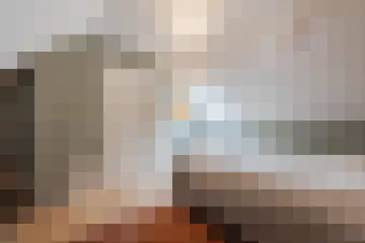 Hulstkampenweg 2 Nieuwleusen thumbnail 31