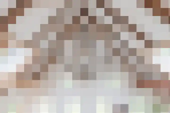 Hulstkampenweg 2 Nieuwleusen thumbnail 33