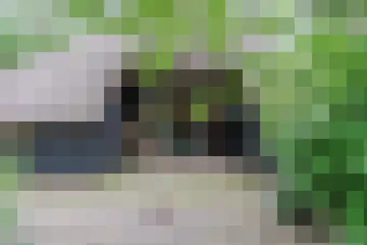 Hulstkampenweg 2 Nieuwleusen thumbnail 35