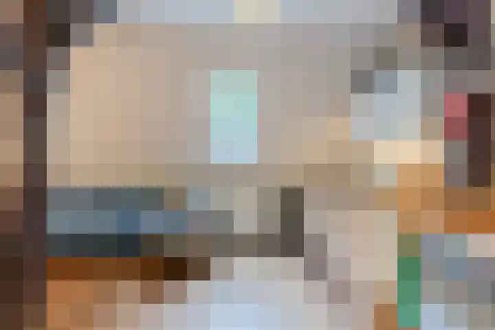 Hulstkampenweg 2 Nieuwleusen thumbnail 36