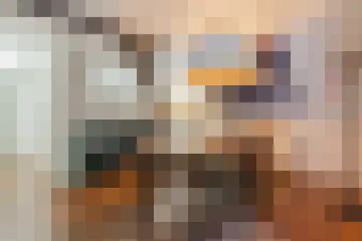 Hulstkampenweg 2 Nieuwleusen thumbnail 38