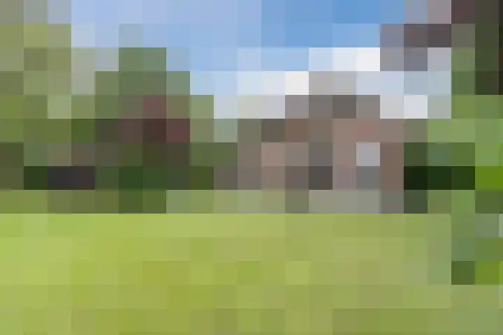 Hulstkampenweg 2 Nieuwleusen thumbnail 4