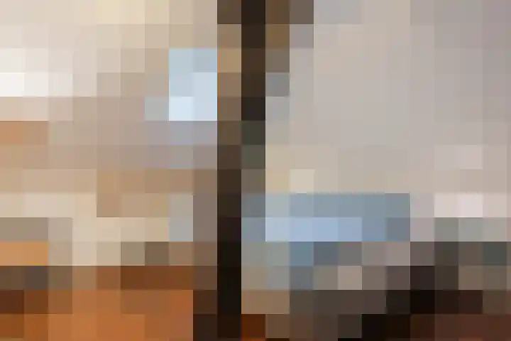Hulstkampenweg 2 Nieuwleusen thumbnail 41