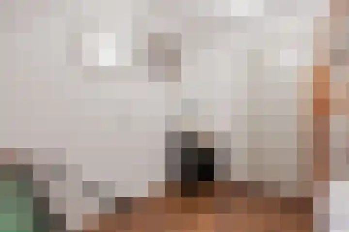 Hulstkampenweg 2 Nieuwleusen thumbnail 43