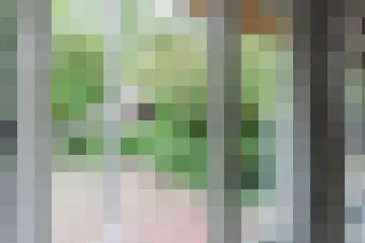 Hulstkampenweg 2 Nieuwleusen thumbnail 47