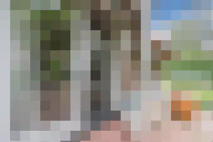 Hulstkampenweg 2 Nieuwleusen thumbnail 48