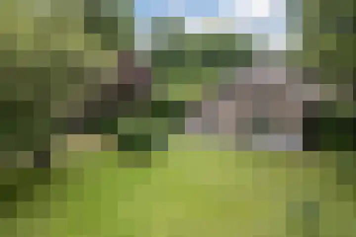 Hulstkampenweg 2 Nieuwleusen thumbnail 5