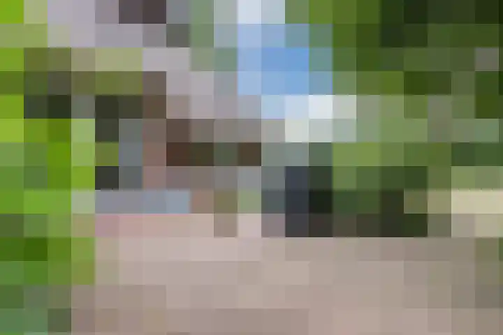 Hulstkampenweg 2 Nieuwleusen thumbnail 51