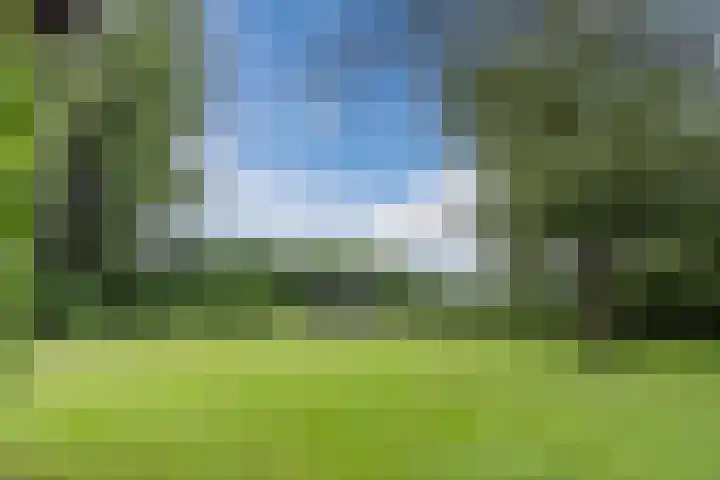 Hulstkampenweg 2 Nieuwleusen thumbnail 52