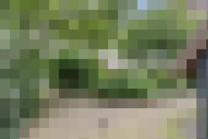 Hulstkampenweg 2 Nieuwleusen thumbnail 53