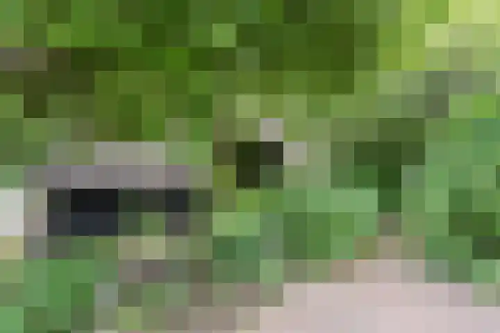 Hulstkampenweg 2 Nieuwleusen thumbnail 54