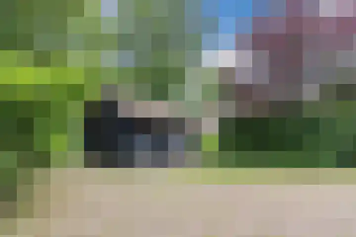 Hulstkampenweg 2 Nieuwleusen thumbnail 55