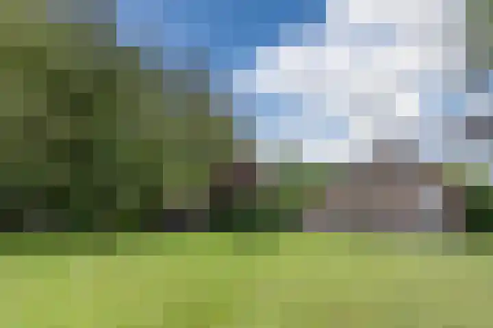 Hulstkampenweg 2 Nieuwleusen thumbnail 57