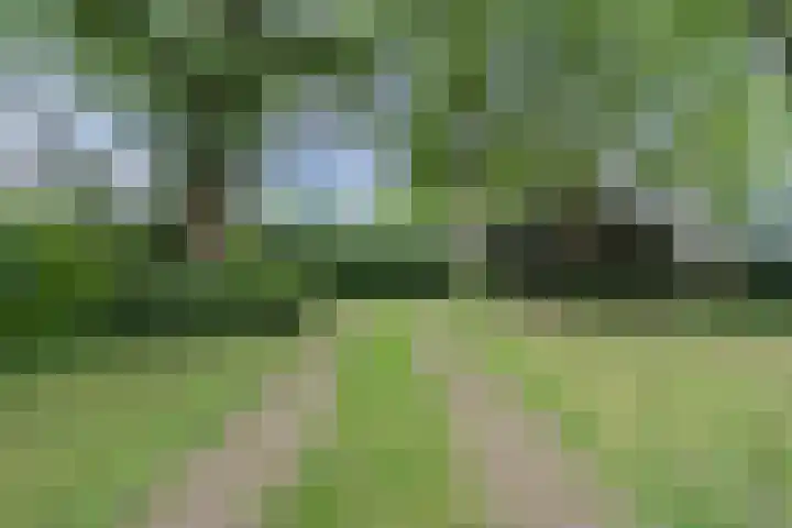Hulstkampenweg 2 Nieuwleusen thumbnail 58