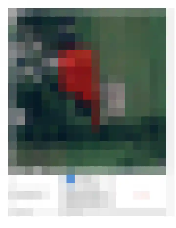 Hulstkampenweg 2 Nieuwleusen thumbnail 63