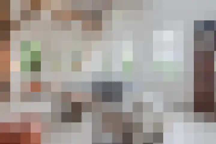 Hulstkampenweg 2 Nieuwleusen thumbnail 7