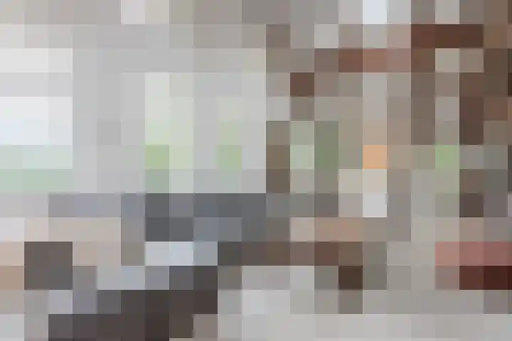 Hulstkampenweg 2 Nieuwleusen thumbnail 8
