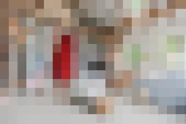Hulstkampenweg 2 Nieuwleusen thumbnail 9