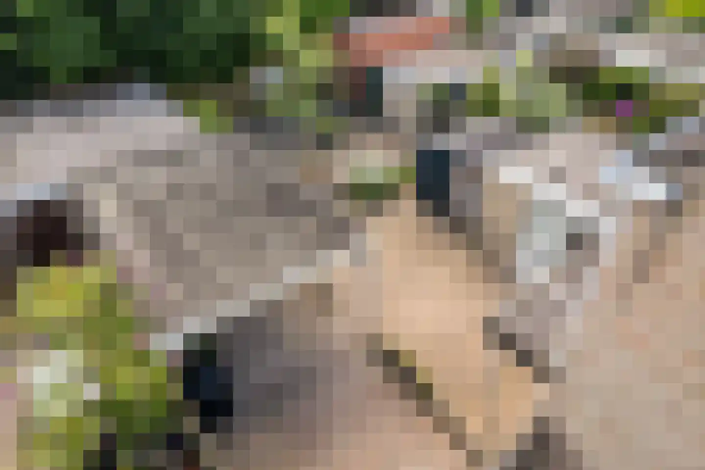 Hulstlaan 10 Zuidlaren thumbnail 14